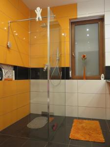 恰普利内克Dom Wakacyjny Kuszewo的浴室里设有玻璃门淋浴