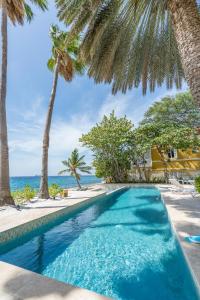 威廉斯塔德Sirena Bay Estate的一座棕榈树和海洋游泳池