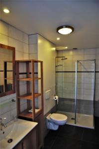 WouwBed and breakfast Wouw的浴室配有卫生间、淋浴和盥洗盆。