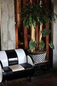 武吉拉旺Waterstone Guesthouse的黑白椅子和盆栽植物