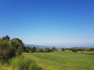 塞吉阿诺Agriturismo Le Casaline的一片绿色的草地,背景是海洋