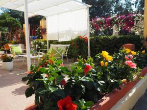 蒂勒尼亚Residence Hotel Vittoria的花坛下花坛上花朵的花园