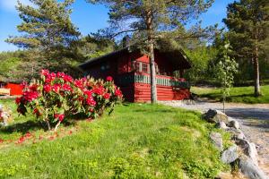 Sjøholt舍霍尔特露营酒店的前面有鲜花的红色小屋