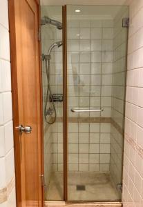 埃拉特Lagoon suite的浴室里设有玻璃门淋浴