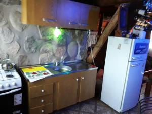 圣奥古斯汀镇Cabañas Laukan的一间带水槽和冰箱的小厨房
