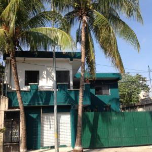 普拉亚卡门Alojamiento Ya'ax Nah的两棵棕榈树在房子前面