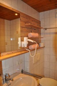 瓦尔德阿尔贝格Hotel Maroi的一间带水槽、卫生间和镜子的浴室