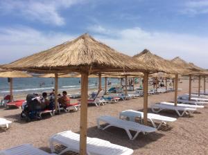 康斯坦察Casa Elisabeta Constanta的海滩上的一组椅子和遮阳伞