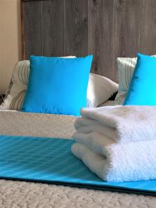 波尔尼克La Belle Verte的一张带蓝色枕头和蓝色毯子的床