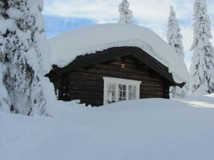 SvingvollKoselig familiehytte sentralt på Skeikampen til leie的雪地小木屋