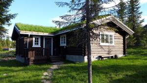SvingvollKoselig familiehytte sentralt på Skeikampen til leie的小木屋,设有草屋顶