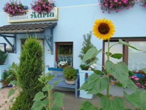 温德哈根Hotel/Restaurant Adria的商店前的向日葵