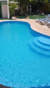 博卡奇卡Terraza del Caribe的大型蓝色游泳池,里面设有椅子