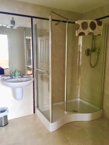 瓦伦西亚岛Puffin Apartment的带淋浴和盥洗盆的浴室