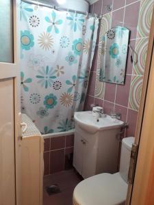 新瓦罗什Vila Vasojević的浴室配有卫生间、盥洗盆和淋浴。