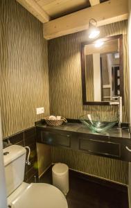 利洛Casa de abaixo的一间带水槽、卫生间和镜子的浴室