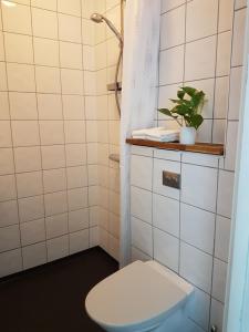 SmålandsstenarSmålandsstenar hotell的一间带卫生间的浴室和架子上的植物