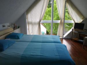 科克赛德Albatros的一间卧室设有蓝色的床和大窗户