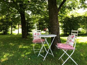 若特阿赫-埃根阿皮纳巴赫迈尔酒店的桌子和两把椅子坐在树边