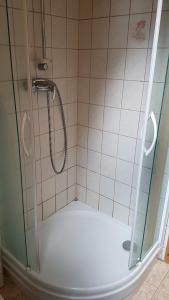 卡尔帕奇Chatka na Skalnej的带淋浴的浴室和玻璃门