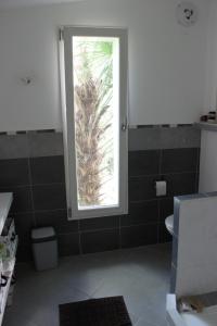 南特Chambre d'hôte的浴室设有窗户和棕榈树