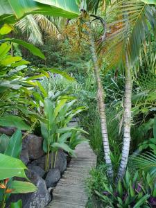 圣安娜Orcéa & Spa Séjours Ecofriendly的种有棕榈树和木步道的花园