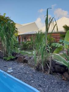圣安娜Orcéa & Spa Séjours Ecofriendly的一个带游泳池和一些植物的庭院