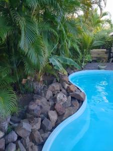 圣安娜Orcéa & Spa Séjours Ecofriendly的棕榈树旁的游泳池