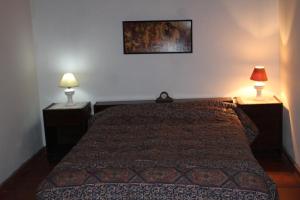 门多萨Casa de montaña, valle del sol, potrerillos, Mendoza的一间卧室配有一张床,两盏台灯放在两张桌子上