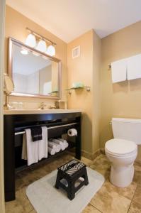 卡尔斯巴德西方套房酒店的一间带水槽、卫生间和镜子的浴室