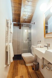 莫利诺斯德杜埃罗Hotel Rural Pinares de Soria的一间带卫生间和玻璃淋浴间的浴室