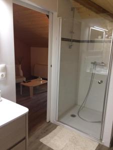 Saint-Sylvestre-sur-LotLocation Chambres d'Hôtes Clodeguy No 2的带淋浴的浴室和玻璃门