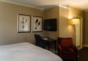 费城切斯纳特希尔酒店的酒店客房配有一张床、一把椅子和一台电视。