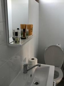 圣让勒布朗Chalet proche Orleans centre的一间带水槽、镜子和卫生间的浴室