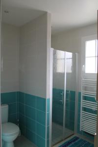 容扎克18B Rue Winston Churchill的一间带卫生间和玻璃淋浴间的浴室