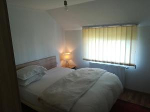 莫伊塞Casa Fluțar的一间卧室配有一张带灯和窗户的床