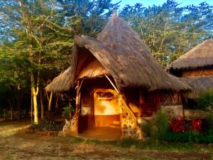 安博塞利Amboseli Eco Camp的茅草屋顶的小小屋