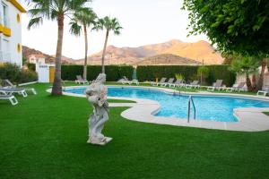 圣何塞Pension Agadir的游泳池旁草地上的雕像