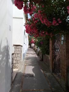 卡普里Villetta Rosetta的一条从建筑物上挂着粉红色花的小巷