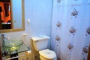 弗鲁蒂亚尔Cabañas Entre Verdes的一间带卫生间和淋浴帘的浴室
