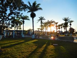 伊基托斯内夫迪塔旅馆的棕榈树和阳光的公园