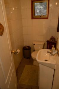 普孔Hostal Pucon Sur的一间带卫生间和水槽的小浴室