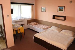 捷克斯卡利采莱德柏瑞斯-兹里克邦果勒维悠碧特维尼酒店的酒店客房设有两张床和一张桌子。