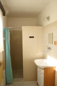 捷克斯卡利采莱德柏瑞斯-兹里克邦果勒维悠碧特维尼酒店的带淋浴和盥洗盆的浴室