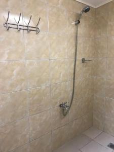杜马格特Casa Arrieta Hostel的浴室内配有淋浴和头顶淋浴