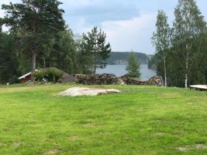 ReuskulaForrest Lodge Karelia的一片草场,有湖面背景