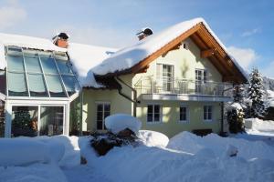 拉德施塔特Ferienwohnung Holiday的积雪覆盖的房屋