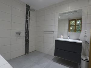 格雷弗拉特Ferienwohnung auf dem Sturmhof的带淋浴、盥洗盆和镜子的浴室