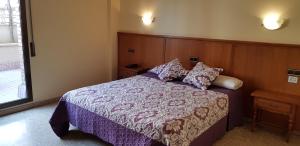 莱里达Hotel Reina Isabel的一间卧室配有一张带紫色毯子和枕头的床。
