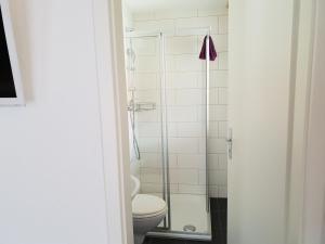 林根贝格里根伯格瑞士度假小木屋的一间带卫生间和淋浴的浴室